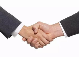 會(huì)展 繁榮的見(jiàn)證，經(jīng)濟(jì)貿(mào)易咨詢(xún)的璀璨舞臺(tái)